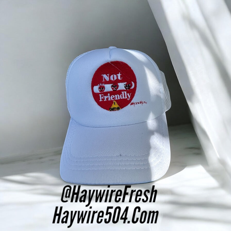 Embroidery Not Friendly Summer Snap Backs